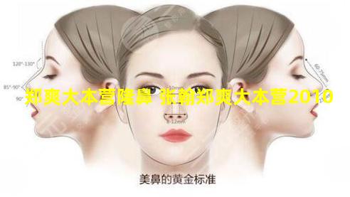 郑爽大本营隆鼻 张翰郑爽大本营2010